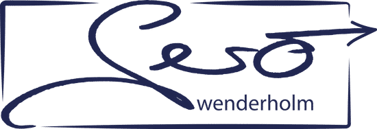 Gero Wenderholm - SEO, Voice- und Online Marketing Experte